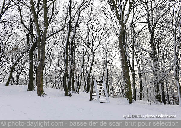 parc de Cointe sous la neige